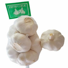 super quality 1kg 500g 250g 200g net bag garlic fresh for sale